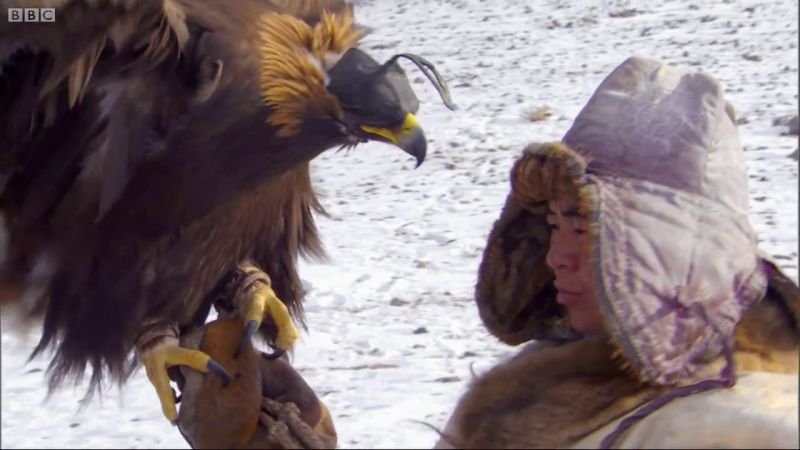 Dresor alaturi de vulturul sau