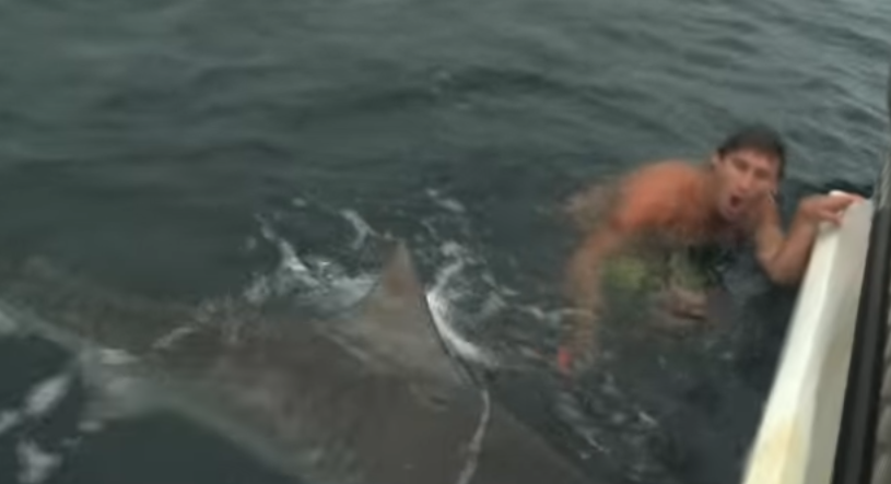 barbat atacat de rechin