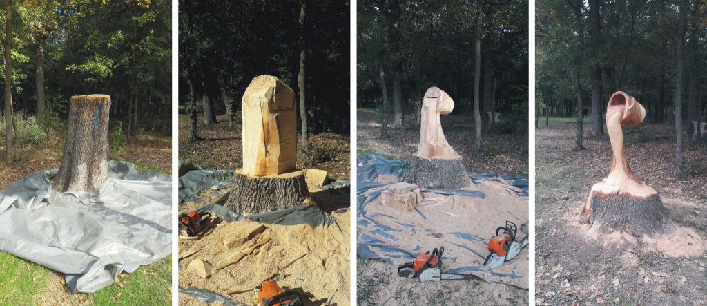 Inginerul silvic din Craiova care face din copaci adevarate opere de arta! Gabi Rizea