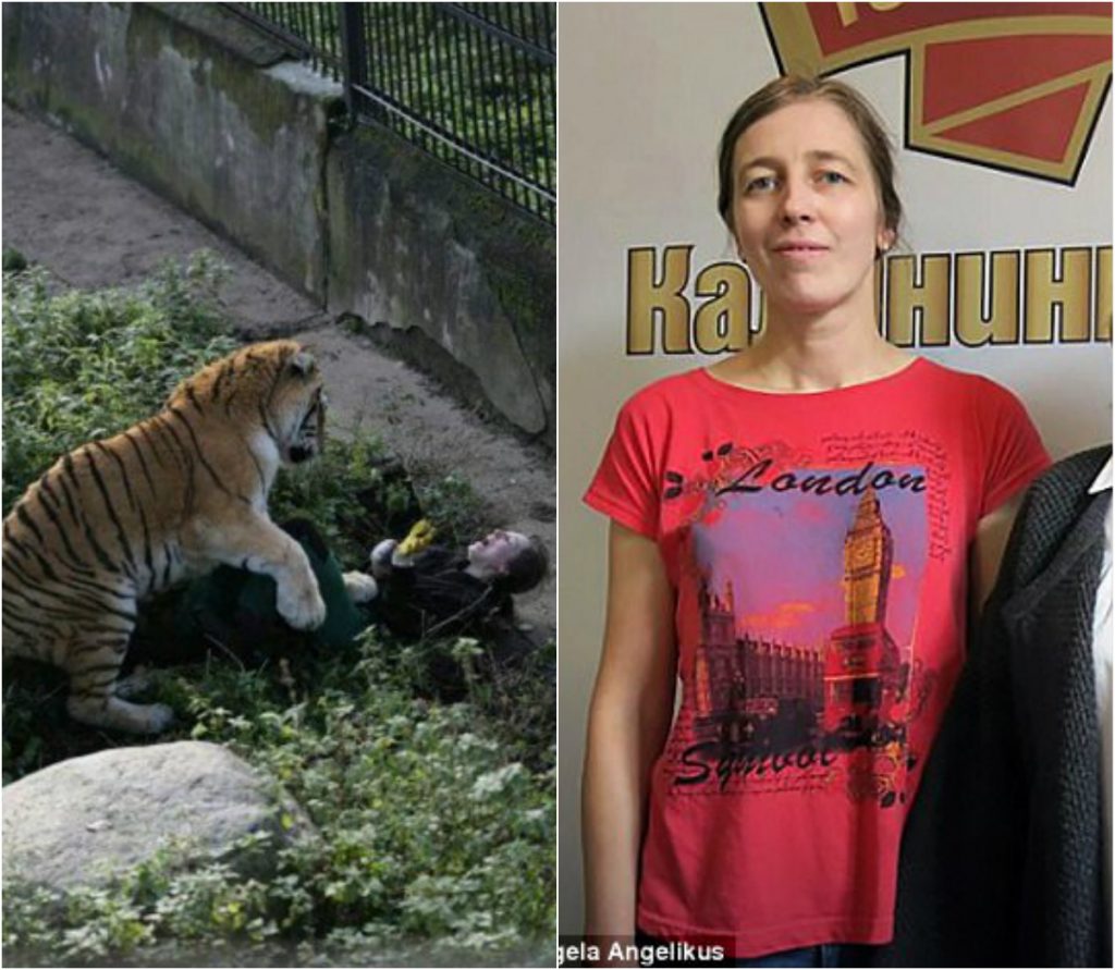 A fost atacata de un tigru chiar sub privirile ingrozite ale turistilor