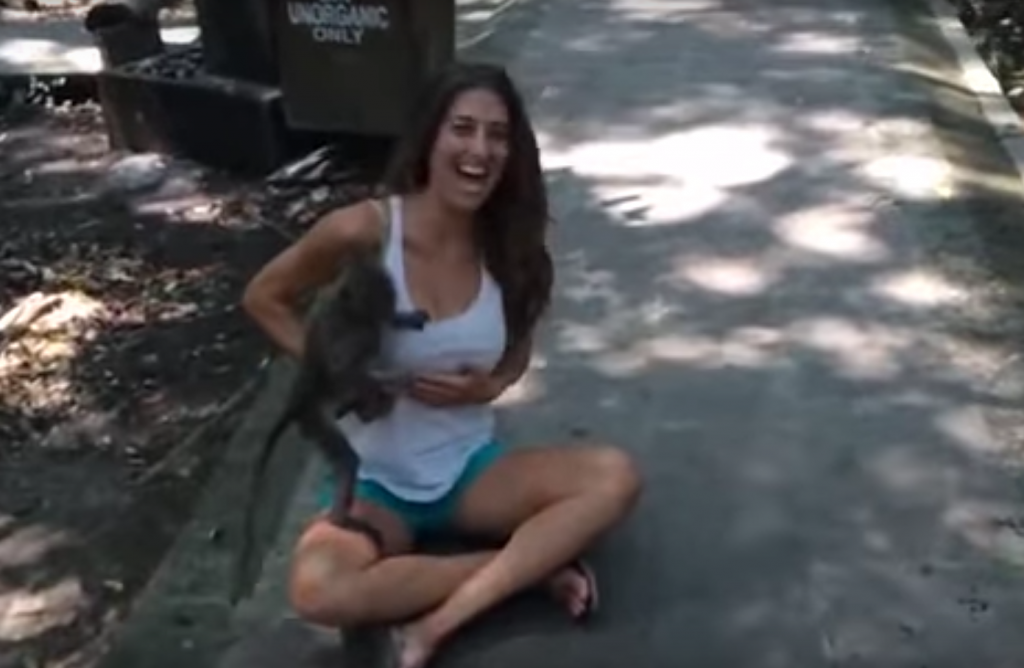 S-a filmat langa o maimuta, dar totul a luat-o razna in cateva secunde