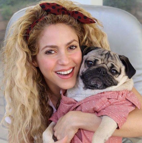 Shakira ar putea ajunge la inchisoare