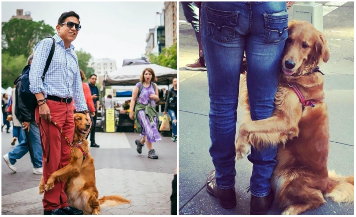 Cel mai adorabil catel! E genial cum reactioneaza cand intalneste ...