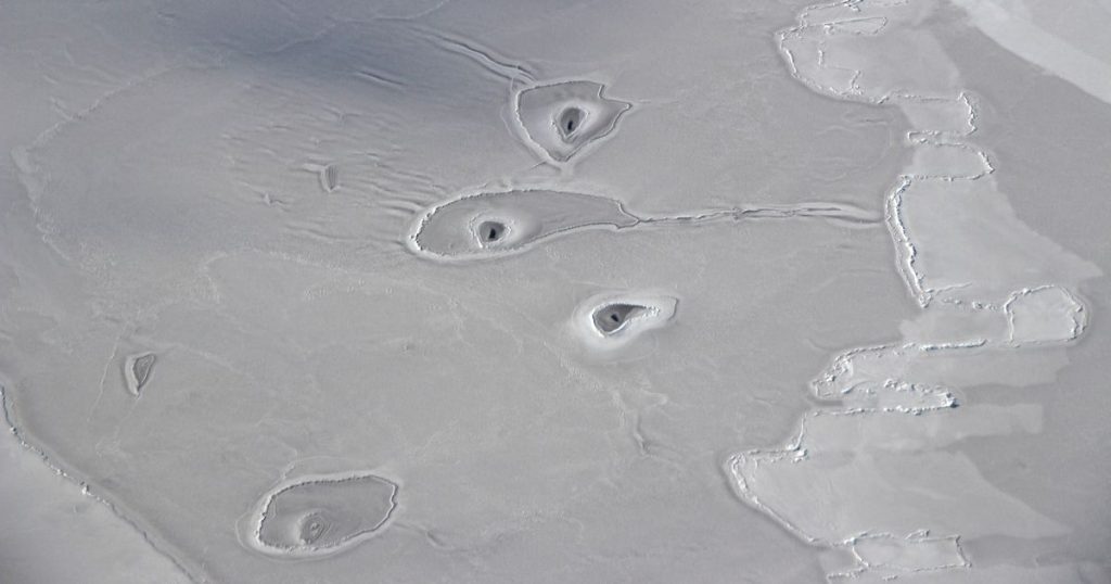 Au aparut gauri ciudate in Oceanul Arctic