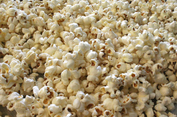 De ce sare popcornul Procesul stiintific ce are loc in fiecare boaba de porumb