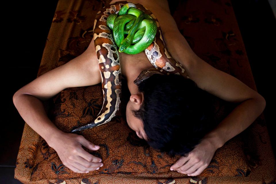 Terapia cu serpi: ce se intampla cu oamenii care se lasa ‘calariti’ de aceste reptile. Cu ce ii ajuta