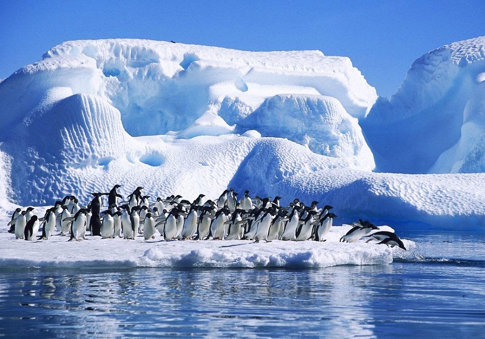 temperatura Oceanului Antarctic