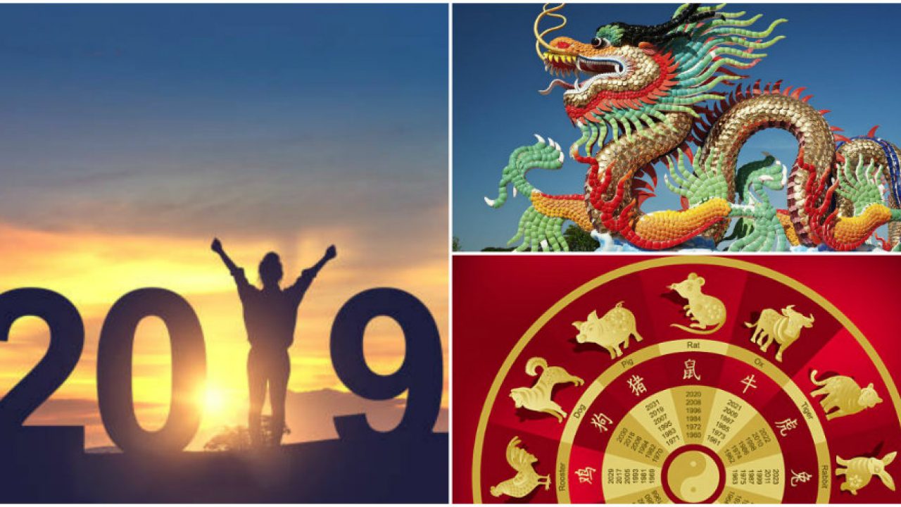 Ce Iti Rezerva Zodiacul Chinezesc Pe 2019 Afla Previziunile