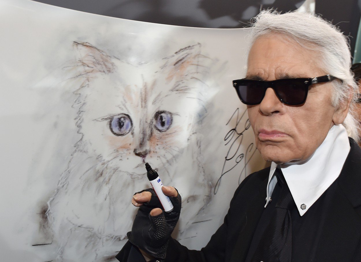 Mostenitoarea averii lui Karl Lagerfeld este pisica lui!