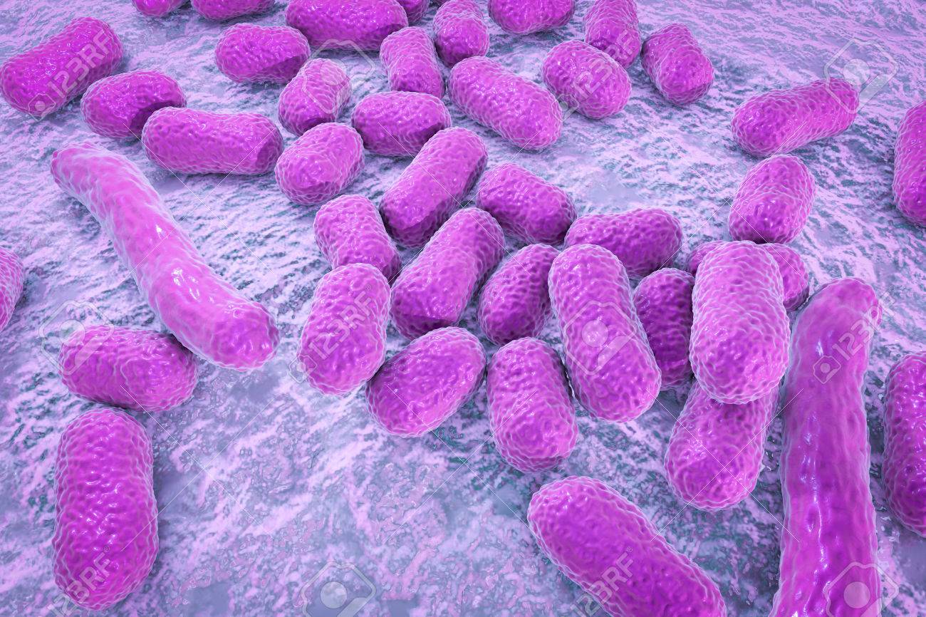 Totul despre acinetobacter, bacteria descoperită la Institutul ”Marius Nasta”