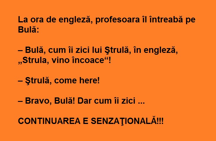 Bancuri scurte cu Bula. Bula da un anunț la matrimoniale Proaspăt căsătorit, caut...!