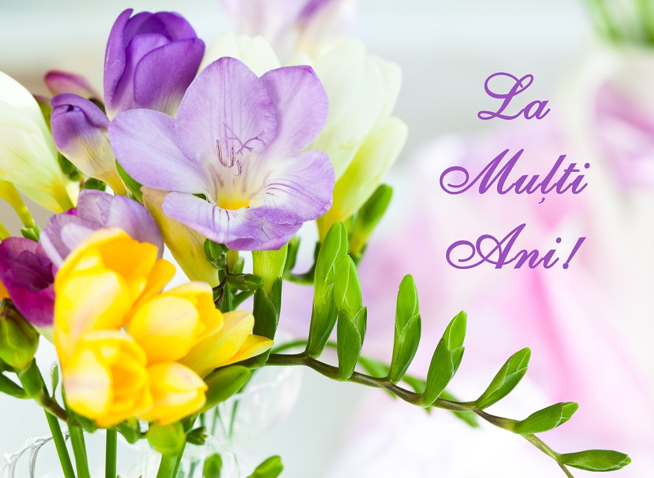 Felicitari Cu Flori Si Mesaje Aniversare Pentru Familie Si Prieteni