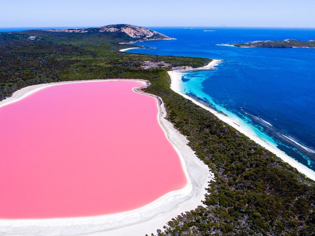 Lacuri Roz Lacul roz din Australia, una din minunile naturii! De ce are aceasta nuanta