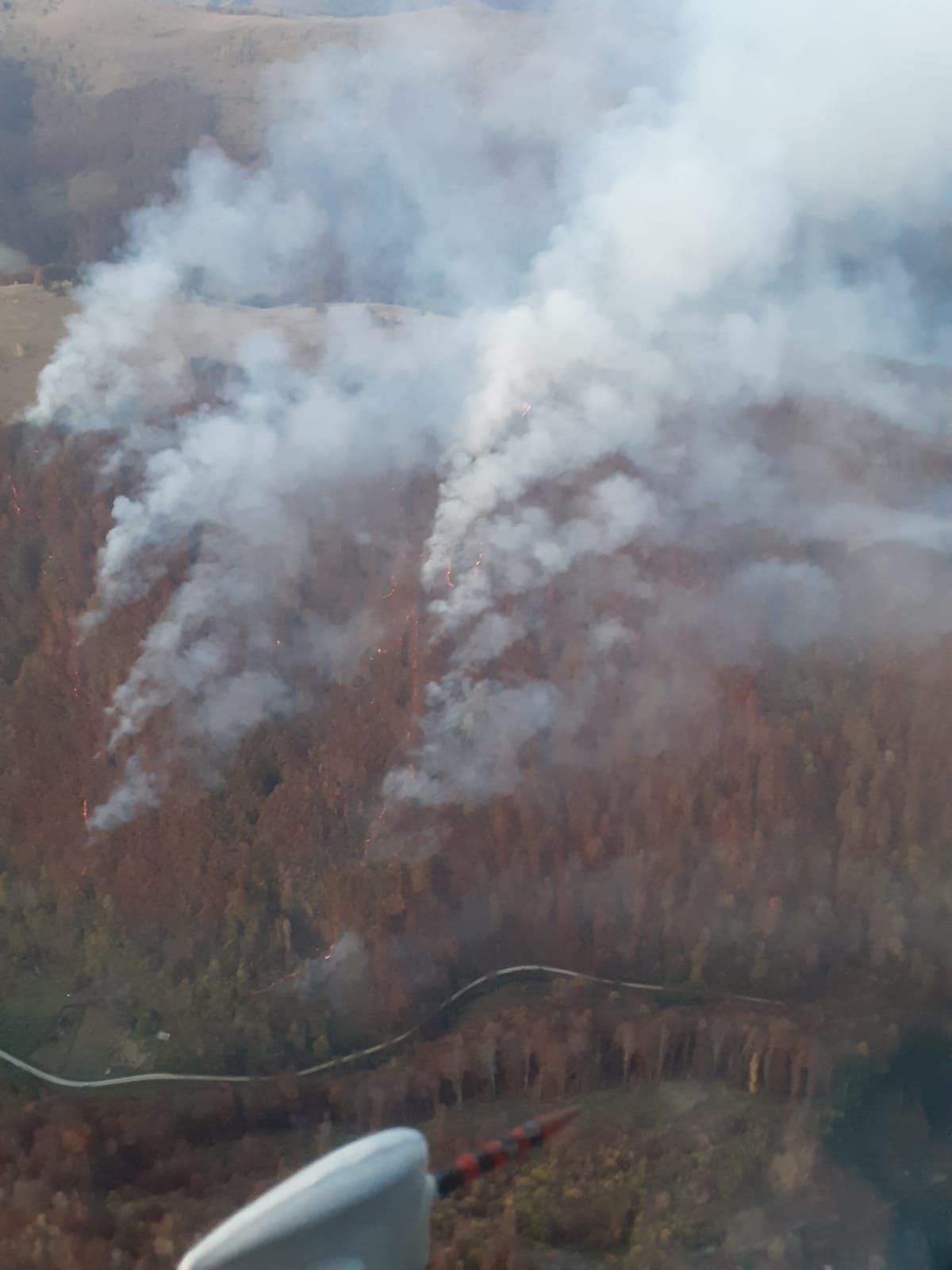 Intervenție a pompierilor din Alba la un incendiu de pădure