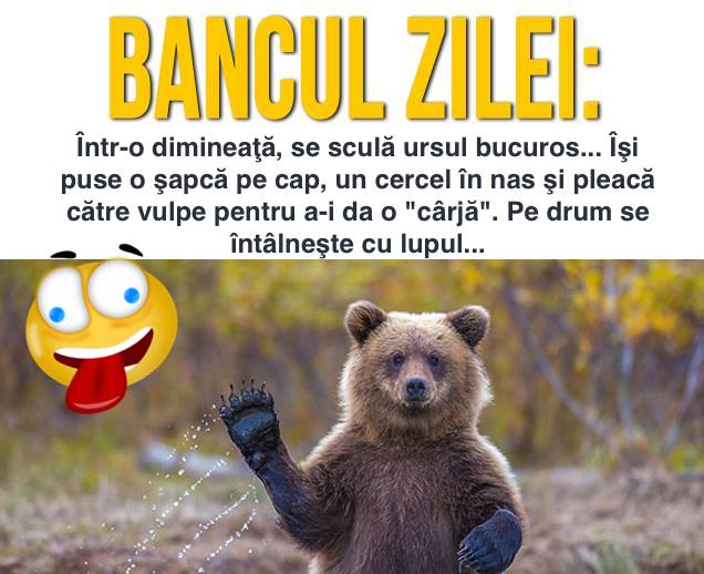 value Expanding documentary BANCUL ZILEI Într-o dimineaţă, se sculă ursul bucuros...