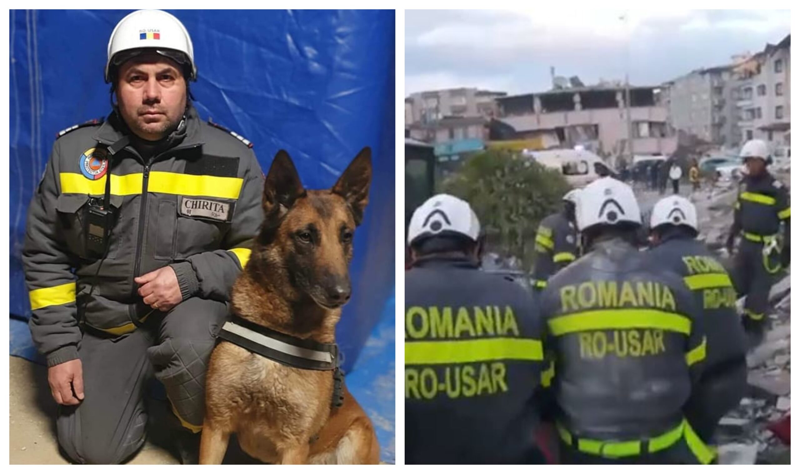 Povestea lui Speedy, ciobănescul belgian care a salvat multe vieți după cutremurul din Turcia