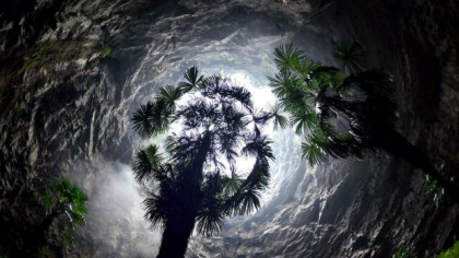 O DOLINĂ uriașă tocmai a fost descoperită în China! Are propria pădure și...