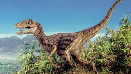 Dinozaurul care trăiește și ASTĂZI printre noi