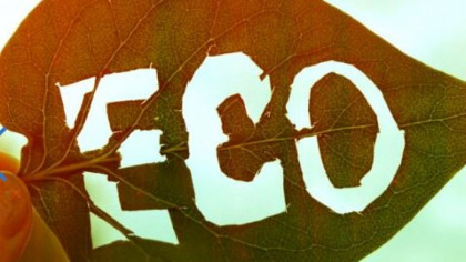 Etichetele ECO pe mâncare: PĂCĂLEALĂ sau adevăr?