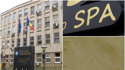 Artistul celebru care a fost masat de femeile depistate cu lepră la Cluj! Cele două și-au oferit serviciile la UNTOLD