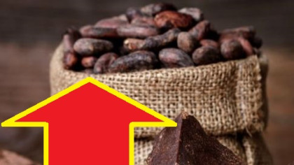 O substanță din ciocolată face minuni pentru sănătate